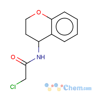 CAS No:91089-68-8 Acetamide,2-chloro-N-(3,4-dihydro-2H-1-benzopyran-4-yl)-