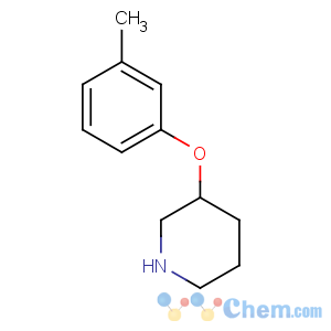 CAS No:912761-71-8 3-(3-methylphenoxy)piperidine