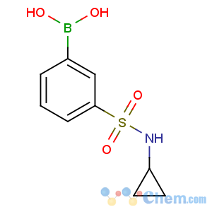 CAS No:913835-28-6 [3-(cyclopropylsulfamoyl)phenyl]boronic acid