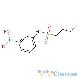 CAS No:913835-50-4 [3-(3-chloropropylsulfonylamino)phenyl]boronic acid