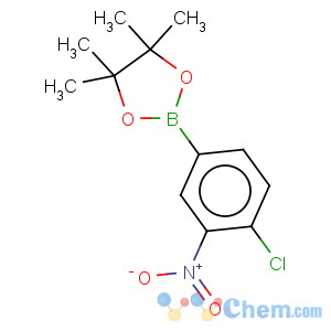 CAS No:913836-26-7 4-Chloro-3-nitrobenzeneboronic acid, pinacol ester