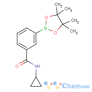 CAS No:914397-31-2 N-cyclopropyl-3-(4,4,5,5-tetramethyl-1,3,2-dioxaborolan-2-yl)benzamide