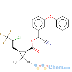 CAS No:91465-08-6 Cyhalothrin