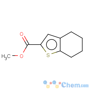 CAS No:91489-09-7 Benzo[b]thiophene-2-carboxylicacid, 4,5,6,7-tetrahydro-, methyl ester