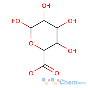 CAS No:91510-62-2 D-Galacturonic acid,monohydrate (9CI)