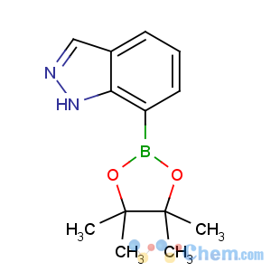 CAS No:915411-02-8 7-(4,4,5,5-tetramethyl-1,3,2-dioxaborolan-2-yl)-1H-indazole