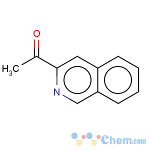 CAS No:91544-03-5 Ethanone,1-(3-isoquinolinyl)-