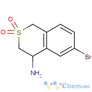 CAS No:916420-32-1 6-bromo-2,2-dioxo-3,4-dihydro-1H-isothiochromen-4-amine