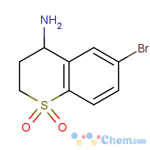 CAS No:916420-34-3 6-bromo-1,1-dioxo-3,4-dihydro-2H-thiochromen-4-amine