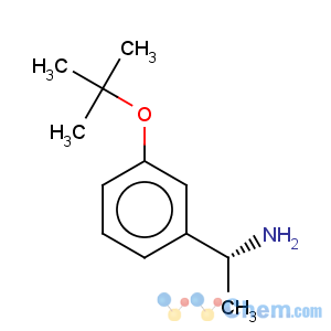 CAS No:917911-64-9 Benzenemethanamine,3-(1,1-dimethylethoxy)-a-methyl-, (aR)-