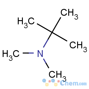 CAS No:918-02-5 N,N,2-trimethylpropan-2-amine