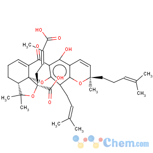 CAS No:91893-83-3 Derivative of gambogic acid