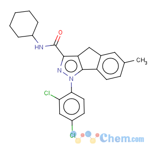 CAS No:919077-81-9 N-Cyclohexyl-1-(2,4-dichlorophenyl)-1,4-dihydro-6-methylindeno[1,2-c]pyrazole-3-carboxamide