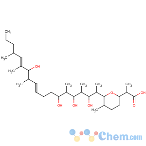 CAS No:91920-88-6 2H-Pyran-2-acetic acid,tetrahydro-a,5-dimethyl-6-[(1S,2S,3S,4S,5S,6R,9E,11R,12R,13E,15R)-2,4,6,12-tetrahydroxy-1,3,5,11,13,15-hexamethyl-9,13-octadecadien-1-yl]-,(aS,2S,5S,6S)-