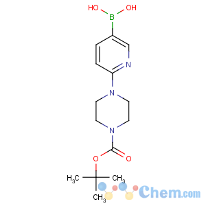 CAS No:919347-67-4 [6-[4-[(2-methylpropan-2-yl)oxycarbonyl]piperazin-1-yl]pyridin-3-yl]<br />boronic acid