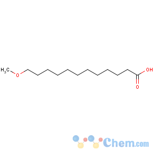CAS No:92169-28-3 Dodecanoic acid,12-methoxy-