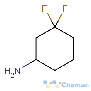 CAS No:921753-34-6 3,3-difluorocyclohexan-1-amine