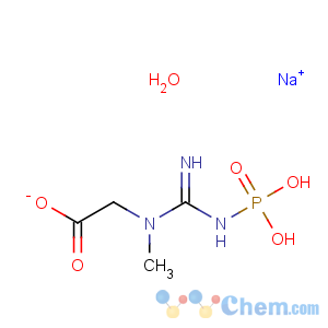 CAS No:922-32-7 Creatine phosphate disodium salt