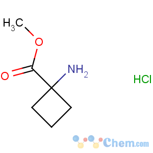 CAS No:92398-47-5 methyl 1-aminocyclobutane-1-carboxylate