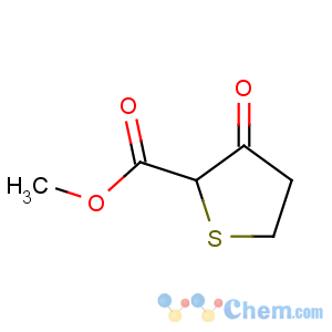 CAS No:92630-01-8 methyl 3-oxothiolane-2-carboxylate