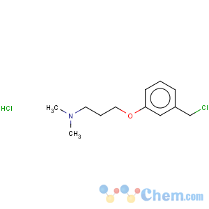CAS No:926921-62-2 1-Propanamine,3-[3-(chloromethyl)phenoxy]-N,N-dimethyl-, hydrochloride (1:1)