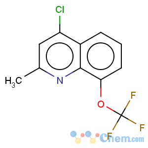 CAS No:927800-56-4 4-chloro-2-methyl-8-(trifluoromethoxy)quinoline