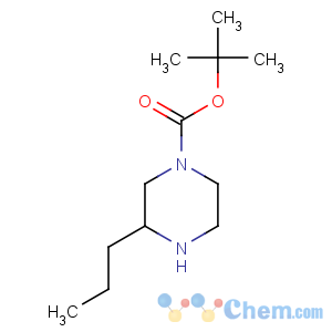 CAS No:928025-57-4 tert-butyl (3R)-3-propylpiperazine-1-carboxylate