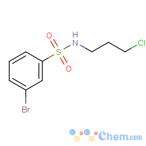 CAS No:929000-46-4 3-bromo-N-(3-chloropropyl)benzenesulfonamide