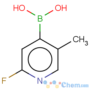 CAS No:929194-41-2 Boronic acid, B-(2-fluoro-5-methyl-4-pyridinyl)-