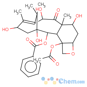 CAS No:92999-93-4 10-Deacetylbaccatin III