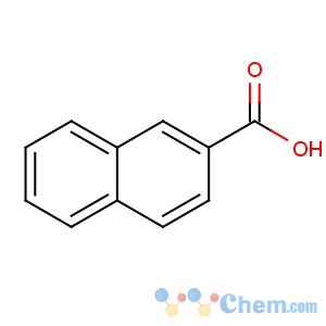 CAS No:93-09-4 naphthalene-2-carboxylic acid