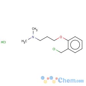 CAS No:930111-03-8 1-Propanamine,3-[2-(chloromethyl)phenoxy]-N,N-dimethyl-, hydrochloride (1:1)