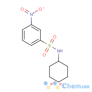 CAS No:93125-79-2 N-cyclohexyl-3-nitrobenzenesulfonamide