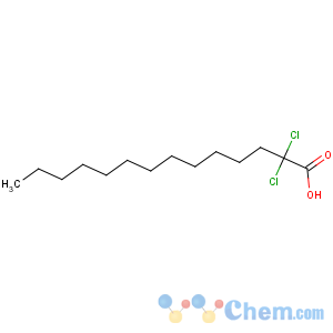 CAS No:93347-74-1 2,2-dichlorotetradecanoic acid