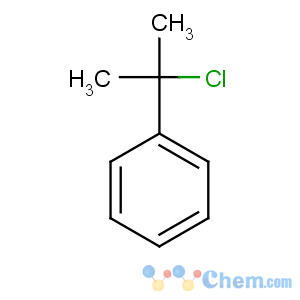 CAS No:934-53-2 2-chloropropan-2-ylbenzene