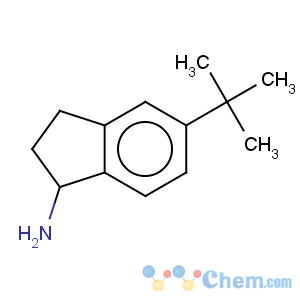 CAS No:935680-90-3 5-tert-butyl-2,3-dihydro-1H-inden-1-amine