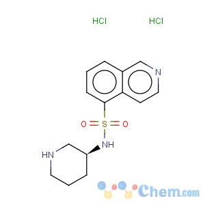 CAS No:936233-07-7 (s)-isoquinoline-5-sulfonic acid piperidin-3-ylamide dihydrochloride