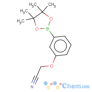 CAS No:936250-18-9 3-Cyanomethoxyphenylboronic acidpinacol ester