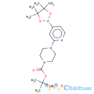 CAS No:936250-21-4 2-(4-tert-Butoxycarbonylpiperazin-1-yl)pyridine-4-boronic acidpinacol ester