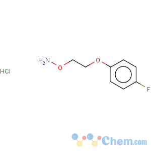 CAS No:936250-29-2 Hydroxylamine,O-[2-(4-fluorophenoxy)ethyl]-, hydrochloride (1:1)
