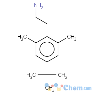 CAS No:93720-89-9 2-(2,6-dimethyl-4-tert-butyl-phenyl)ethylazanium