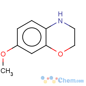 CAS No:93735-22-9 2H-1,4-Benzoxazine,3,4-dihydro-7-methoxy-