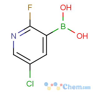 CAS No:937595-70-5 (5-chloro-2-fluoropyridin-3-yl)boronic acid