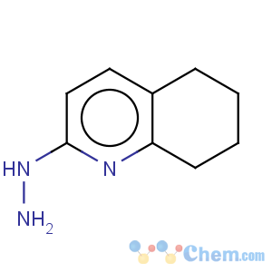 CAS No:937677-75-3 1-(5,6,7,8-tetrahydroquinolin-2-yl)hydrazine