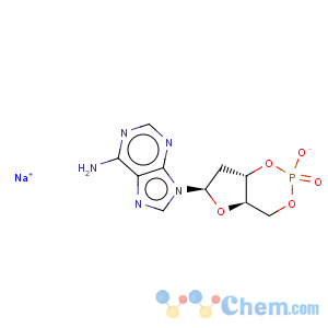 CAS No:93839-95-3 Adenosine,2'-deoxy-, cyclic 3',5'-(hydrogen phosphate), monosodium salt (9CI)