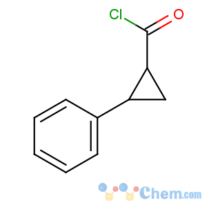 CAS No:939-87-7 (1R,2R)-2-phenylcyclopropane-1-carbonyl chloride