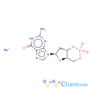 CAS No:93919-42-7 Guanosine, 2'-deoxy-,cyclic 3',5'-(hydrogen phosphate), monosodium salt (9CI)