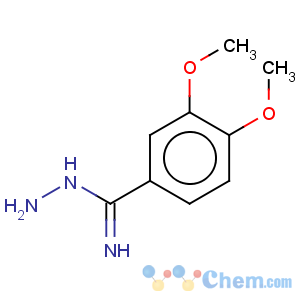 CAS No:939999-69-6 Benzenecarboximidic acid, 3,4-dimethoxy-, hydrazide
