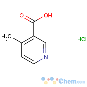 CAS No:94015-05-1 4-methylpyridine-3-carboxylic acid