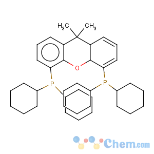 CAS No:940934-47-4 Phosphine, 1,1'-(9,9-dimethyl-9H-xanthene-4,5-diyl)bis[1,1-dicyclohexyl-